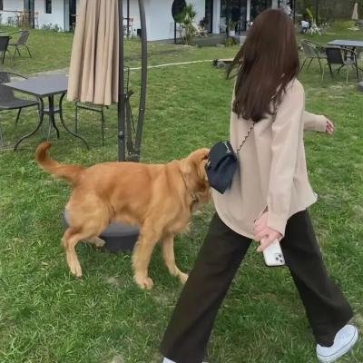 热诚传说：导师的黎明